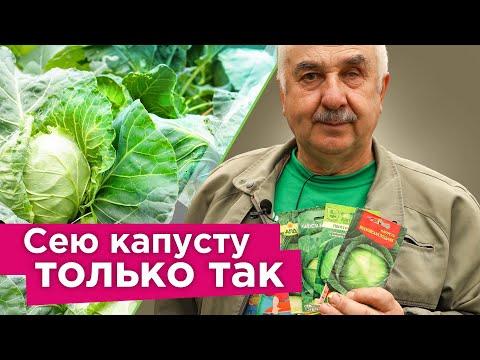 КОВАРНАЯ ОШИБКА ПРИ ПОСЕВЕ КАПУСТЫ! Важные нюансы при выращивании рассады капусты в апреле