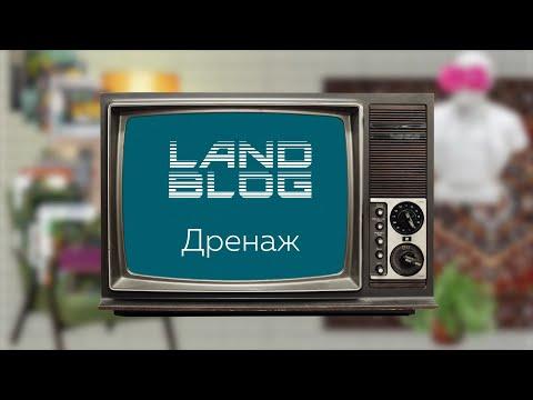 Дренаж участка, какой он? И нужен ли вообще?