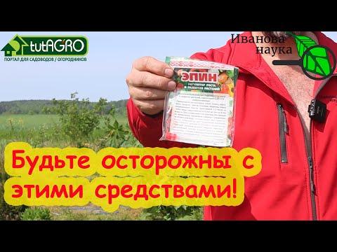 РАССАДА РАСТЕТ СРАЗУ ПОСЛЕ ВЫСАДКИ: Эпин, Циркон, Этамон, Старт-КМЕ, Аминосил, Аминорост, Мальтамин.