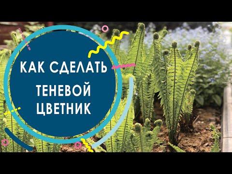 Теневой Цветник | Как сделать теневой цветник своими руками?