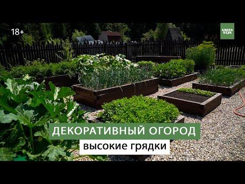 Очень удобные гряды. Красивый огород.