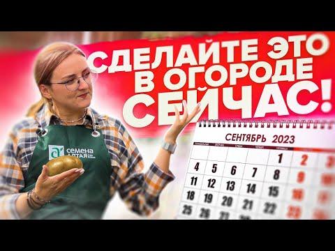 ЧТО ДЕЛАТЬ В САДУ И ОГОРОДЕ ОСЕНЬЮ?