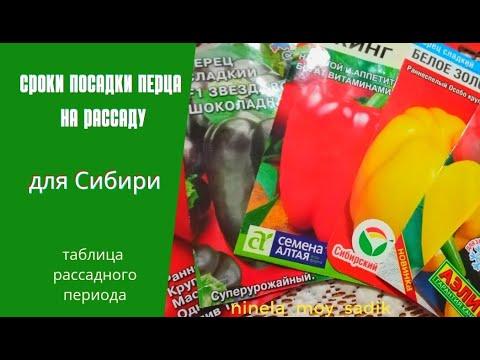 Болгарский перец. Сроки посадки на рассаду для Сибири.