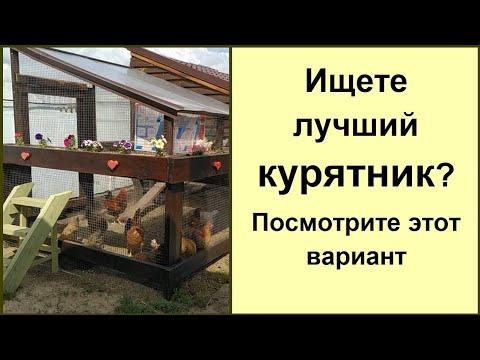 Курятник для дачи не только