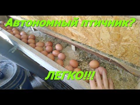 Автономный курятник. Жизнь на даче