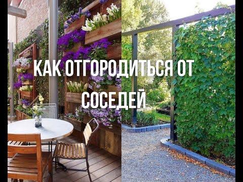 Как отгородиться от соседей/ Идеи для сада и дачи/