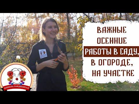 ВАЖНЫЕ ОСЕННИЕ РАБОТЫ В САДУ, В ОГОРОДЕ, НА УЧАСТКЕ.  ПОДГОТОВКА К ЗИМЕ