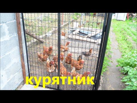 Устройство курятника.Как построить курятник своими руками